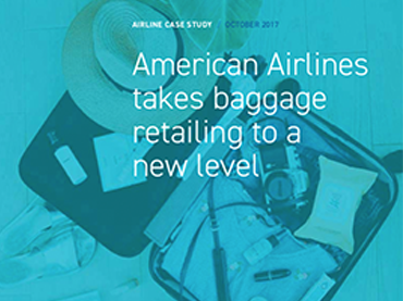 american airlines baggage case study